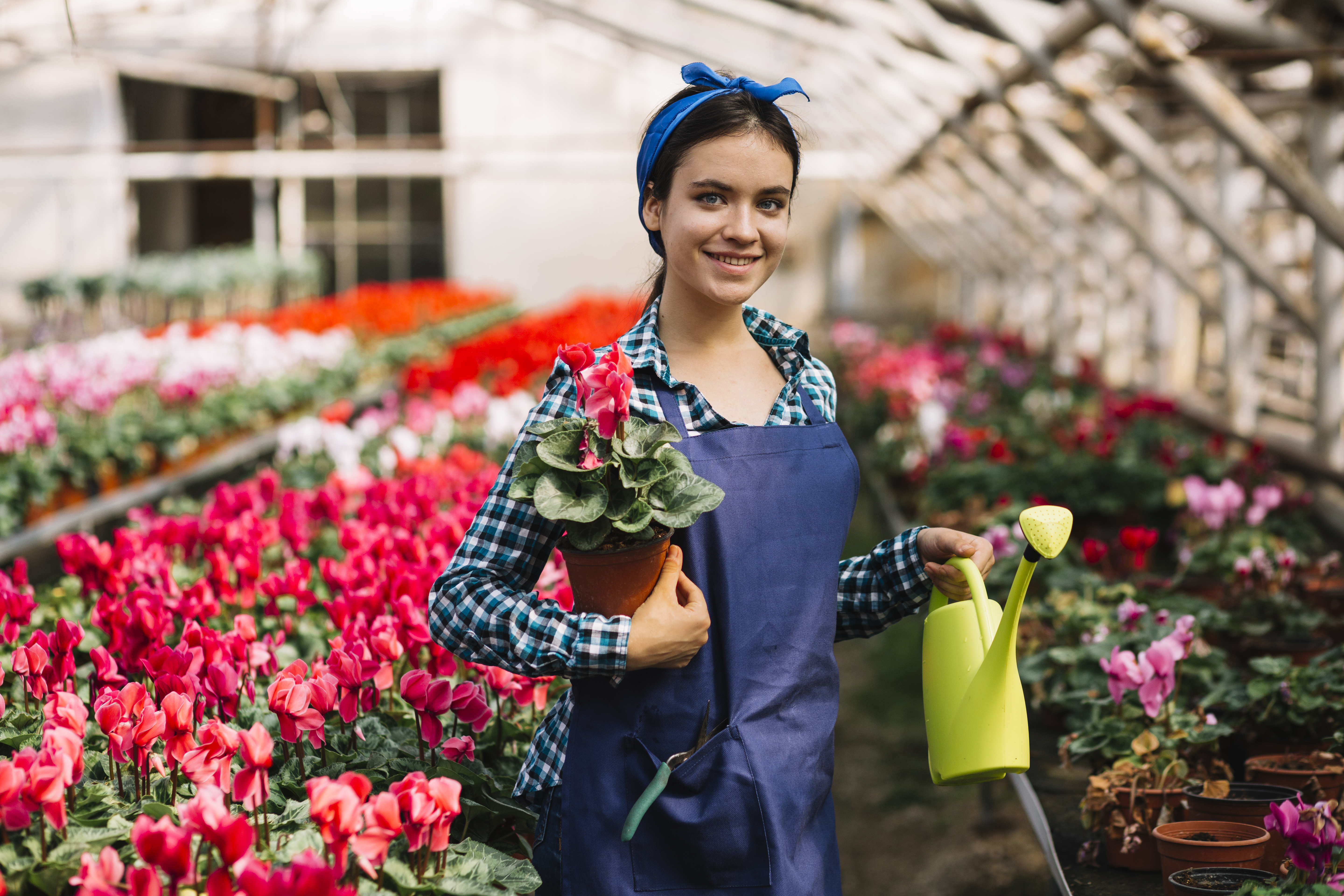 il primo ecommerce italiano di ingrosso fiori e piante