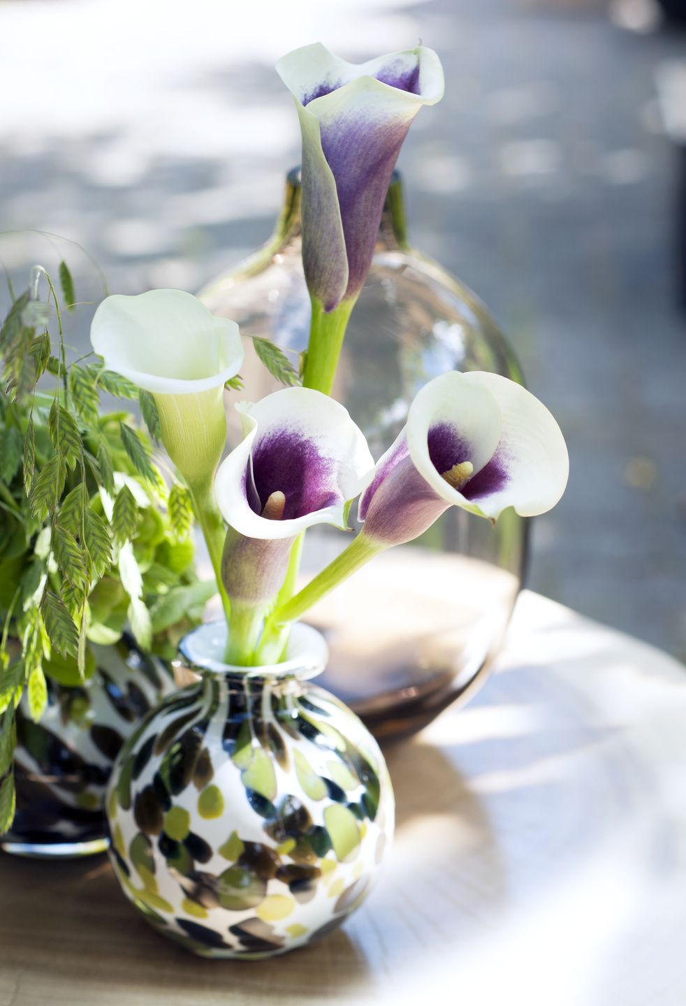 calla calle ingrosso fiori italia olanda gambin milano