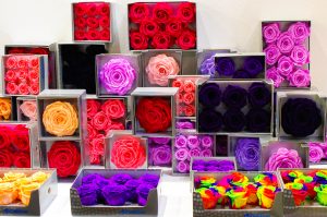 Rose stabilizzate flower design milano ingrosso fiori online