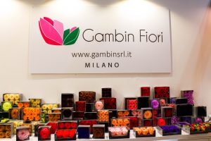 vasto assortimento di rose stabilizzate per flower designer