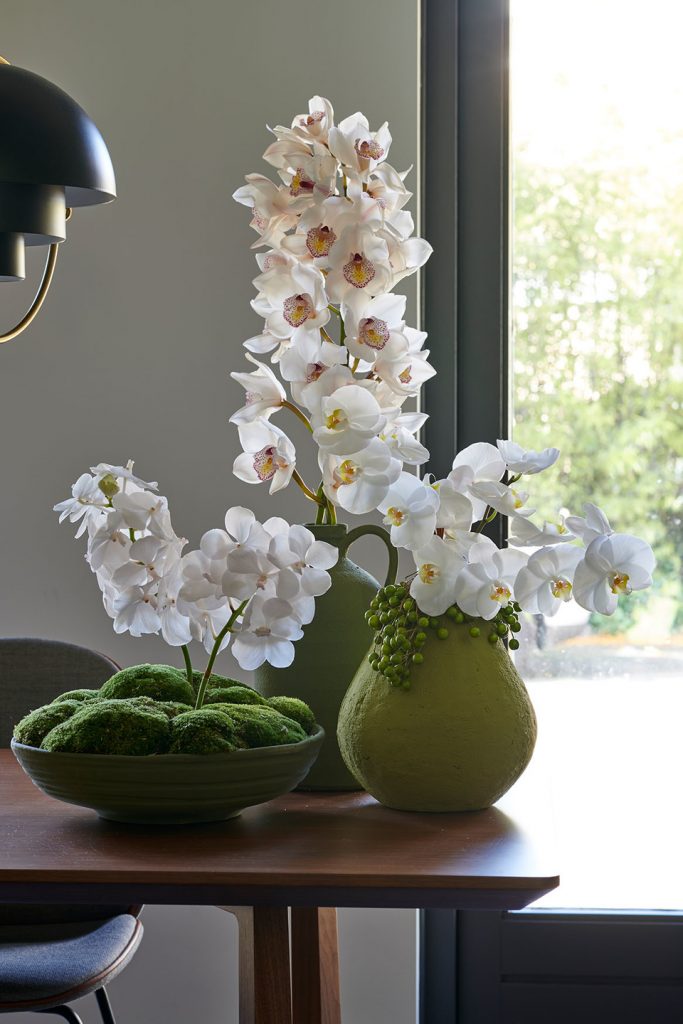 orchidea orchidee ingrosso fiori online milano gambin