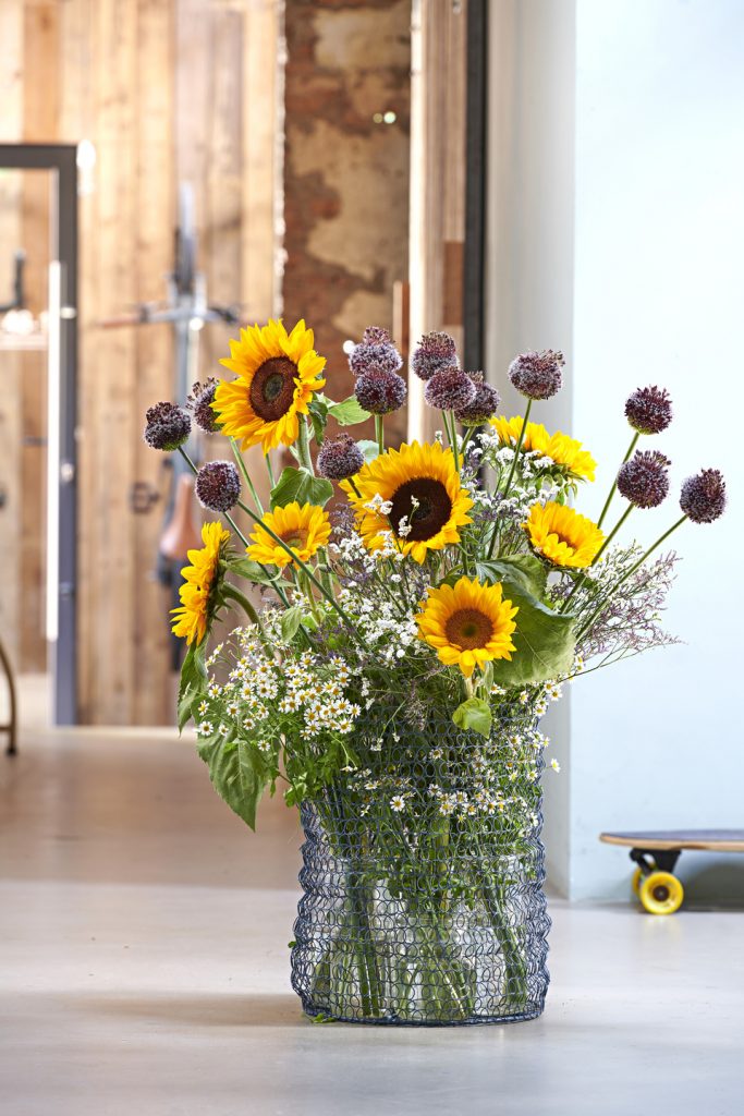 girasoli helianthus partenio tanacetum limonium butatum