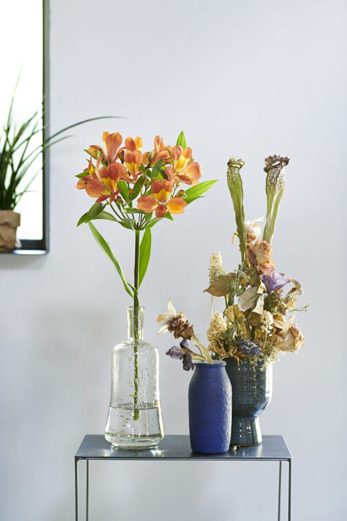 Alstroemeria fiori di settembre abbinamenti