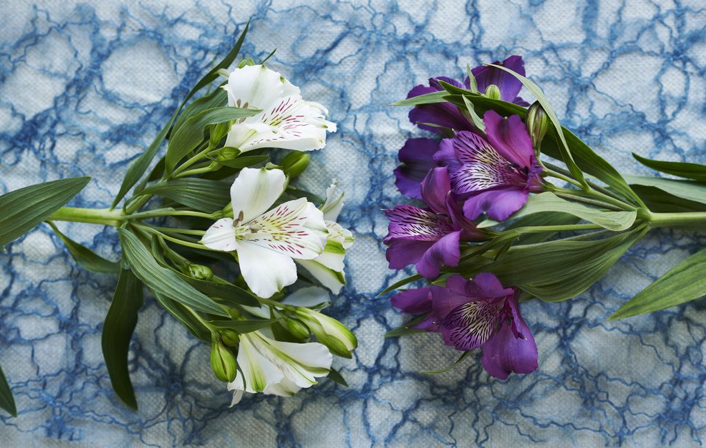 Alstroemeria fiori di settembre abbinamenti